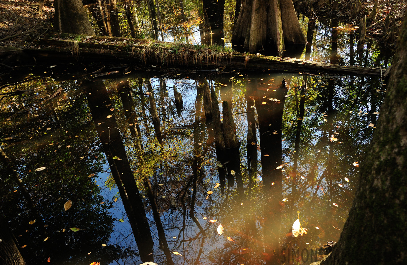 South Carolina [28 mm, 1/60 Sek. bei f / 8.0, ISO 800]